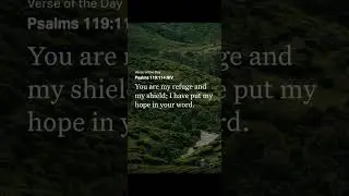 The Lord is my refuge and shield always 👏 #fypシ゚viral #fyp #God #God'sword