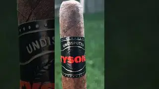 Tyson 2.0 Undisputed Cigar Review &ndash; A Heavy Hitter with Flavor!