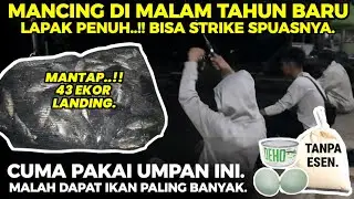 Awas ketagihan..‼️ Racikan umpan putih kukus ikan mas paling jitu dan gacor ~untuk lomba / harian.