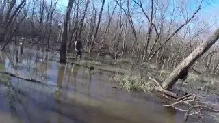 North Texas Dog Trainers