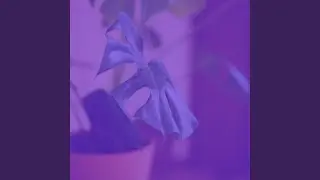 Extraordinary Saturday Morning