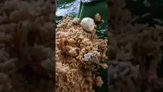 💢 Mutton Briyani ✨ Low Price 💥 Food Review #food #foodreview #foodie #foodlover #foodieblocker