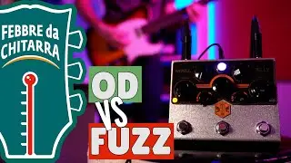 Overdrive VS FUZZ! Come funzionano e che differenza c'è