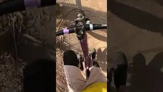 Mein erstes mal bei den wienerwald trails