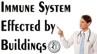 Immune System Effected by Buildings
