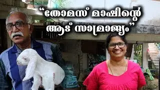 ഒന്നിൽ തുടങ്ങിയ ആട് ശേഖരം || ആടിന് കൊടുക്കുന്നത് വൈക്കോൽ  || ആട് || മലബാറി ആട് || KERALA