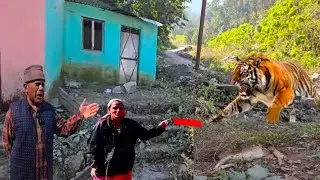 खाली पड़े गांव 😱 Tiger 🐅 के आतंक से खाली हो चुके गांव के गांव😭 