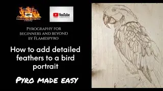 how to wood burn a parrot with depth. A look at how our shading adds depth
