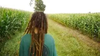 August Fields