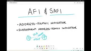 AFI & SAFI in MP-BGP