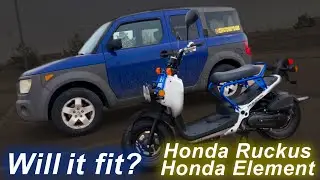 Honda Ruckus INSIDE Of A Honda Element