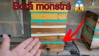 FORNECENDO CERA MISTA PARA MINHAS ABELHAS- Veja como está essa Borá 😱😱