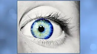 Power of Your Subconscious Mind for Artists & Creative People