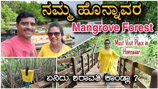 Honnavar Mangrove Forest | Honnavar tourist Places | ಶರಾವತಿ ಕಾಂಡ್ಲಾ ವನ ಹೊನ್ನಾವರ ‎@AKkannadavlogs 