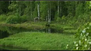 VEKARUS KES&Auml;LL&Auml;