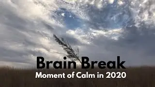 Moment of Calm in 2020 // Brain Break // Calming Nature Scenes With Music (no words)