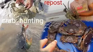 crab catching video || catching big mud crap in the sea || how to catch crab?