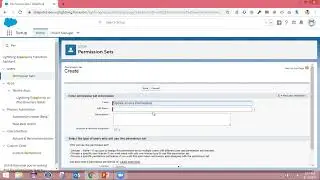 Ep 8 &ndash; Managing Data Access in Salesforce   Profiles   Permission Sets   Role   FLS