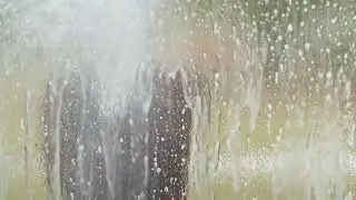 Wet & Forget Window & Screen Cleaner - No Scrubbing, No Ladders!