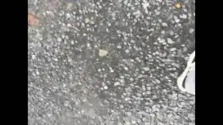 76566322000  5E85D895 354C 4749 9E39 F7D72EF44001