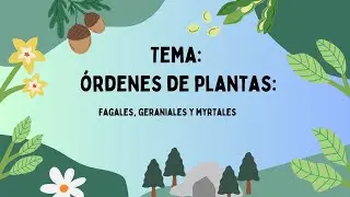 Grupo Cedrelinga Cateniformia, Tema: Fagales, Geraniales y Myrtales.