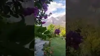 Ayun fort Inn|chitral|Pakistan|resort|nature