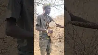 African Bush Life: Hadzabe People Singing and Dancing Together