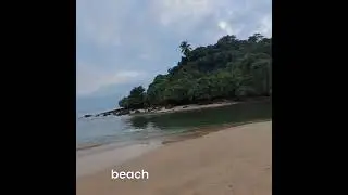 &ldquo;Nature at Its Best: Eagle Catching Fish in Goa&rdquo;