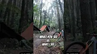 What You See vs What I See #emtb #sam2 #rotoruatrails #epictrail #shorts