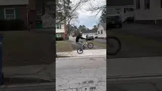 Manual FAIL