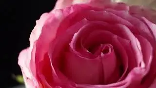 14901396 640 360 25fps