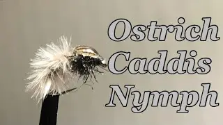 Fly tying - Ostrich Caddis Nymph