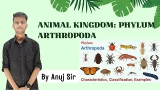 🦀 Animal Kingdom: Phylum Arthropoda | Class 11 Biology | NEET 2025 by Anuj Sir 🔬📘#PhylumArthropoda
