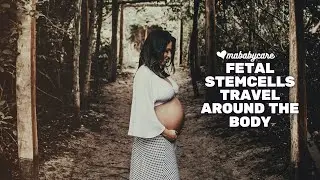 Fetal Stem Cells Travel Around The Body | mababycare