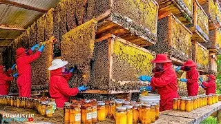 Inside the Pure Honey Factory How Millions of Jars of Honey Are Made