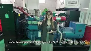 Yuchai 300kW Prime Power Natural Gas Generator | Open-Frame | Bitcoin Mining Project