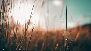 Yellow Claw x San Holo - Summertime