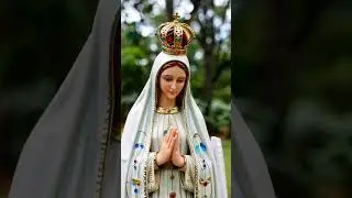 ben&ccedil;&atilde;o 🙏 #nossasenhora #catolico #devotosdenossasenhora #f&eacute; #mariapassanafrente #shortsviral #fyp