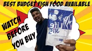 API Life-Aayu Fish Food |  Best Aquarium Fish Food from India