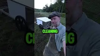 Easily move 36 chickens around your yard