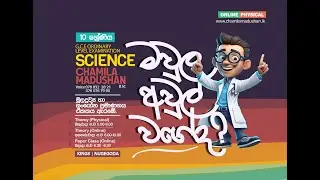 Grade 10   Science Moles - Mawula - 10 වසර 'මවුල' day 02 - Chamila sir