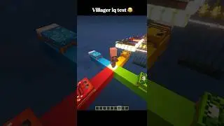 Minecraft villager iq test