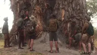 Okavango Guiding School course video