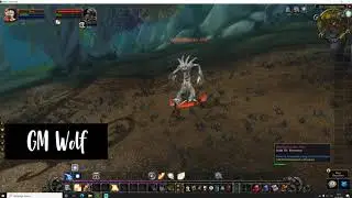 Wei&szlig;borkes Anh&auml;nger | Whitebark's Pendant WoW TBC Horde Quest | GM Wolf | WoW TBC Classic