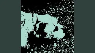 Experimental Relaxing Ambient Music for Unwinding and Meditating, White Noise, Brown Noise Vol...