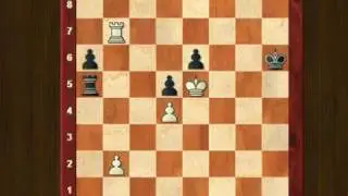 Chess: understanding rook endgames (1). Piece activity