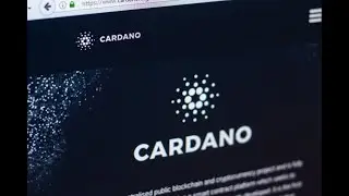 Cardano&rsquo;s ADA Token Rallies Ahead of DEX Testnet Launch