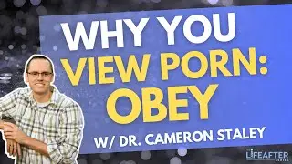 Why You View Porn: Understanding Urges and the Power to Disobey | #MentalHealth #QuitPorn #Habits