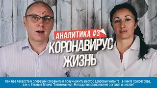 Распространение и жизненные циклы коронавируса. Аналитика.