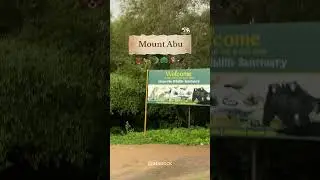 Mount Abu Rajasthant #india #rajasthan #mountabu #wildlife #hillstation #explore #videoshort